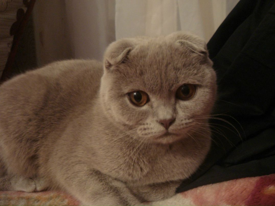 Татьяна Цулая | Paris