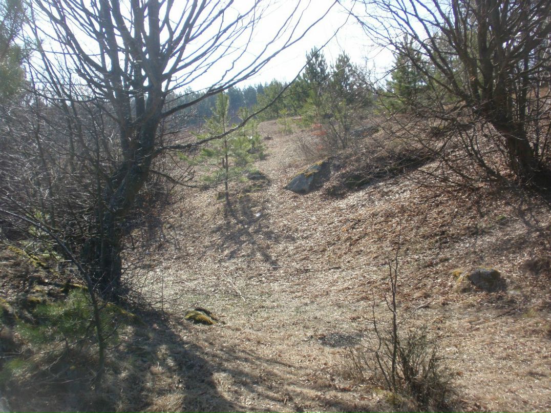 Борис Блаженний | Киев