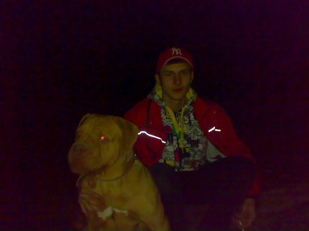 Олександр Дейнека | Львов