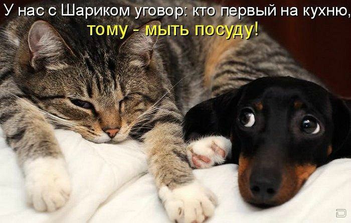 Мария Моисейчева | Киев