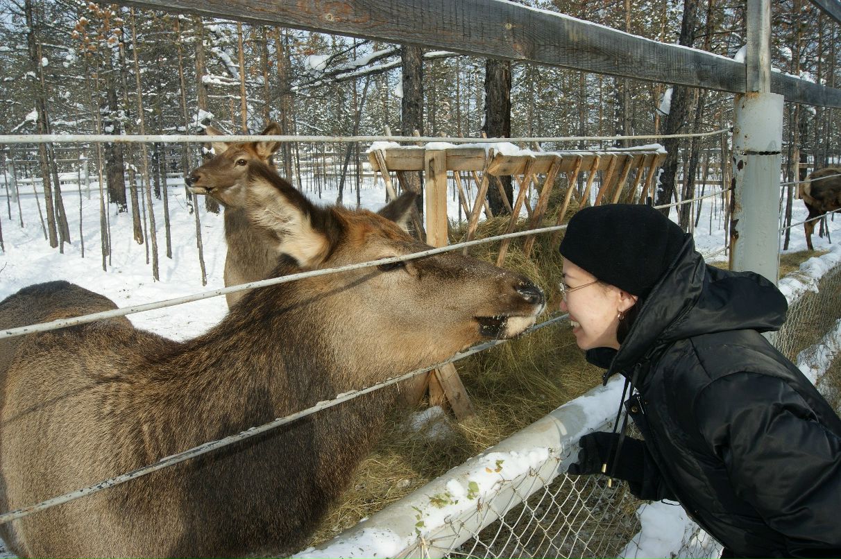 Лариса Данилова | Мирный