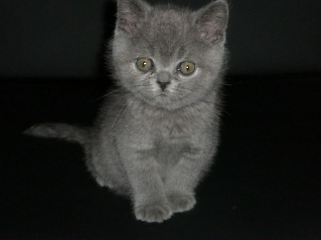 Дима Махортов | Кишинев