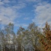 Аватар: Никита Иванов