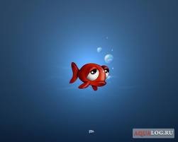 №38, Зеновій Олександрович, 31 год, Львов №38, Зеновій Олександрович, 31 год, Львов