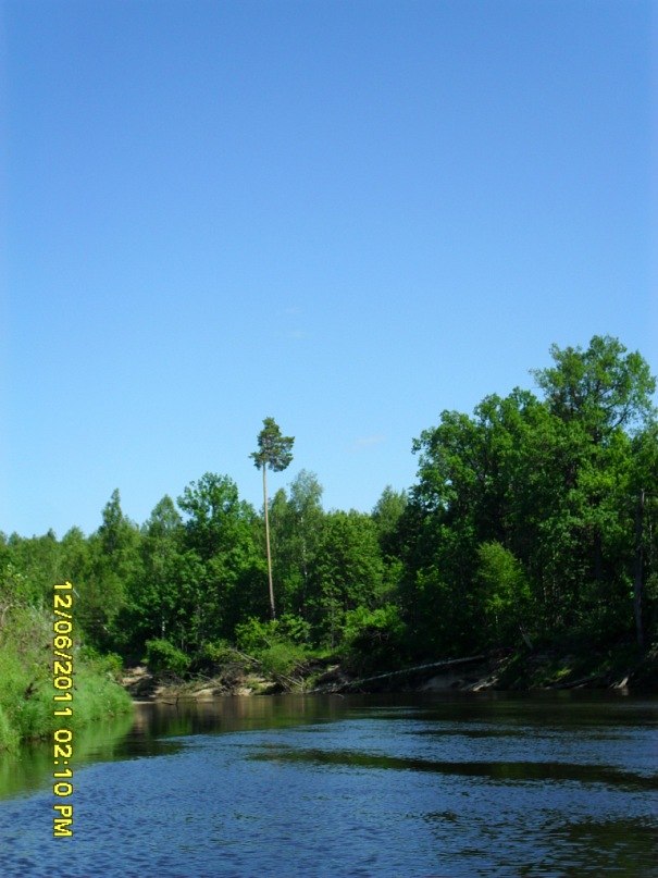 Sergei Shazamov | Нижний Новгород