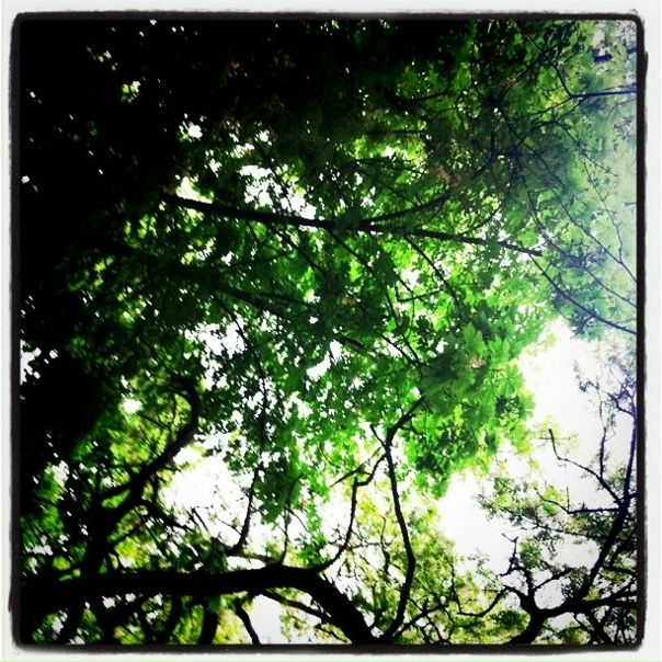 №73, Катерина Ковриженко, 37 лет, Киев №73, Катерина Ковриженко, 37 лет, Киев