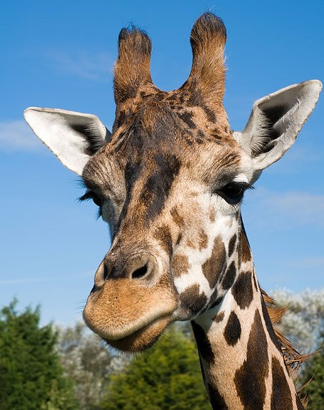 Мария Стасюк | Санкт-Петербург
