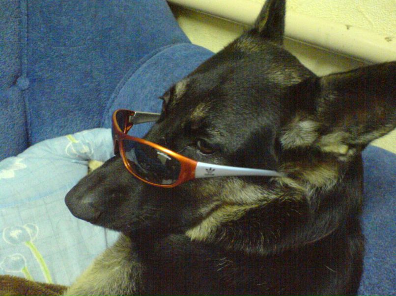 Сергей Титов --=MI№G@=-- | Дубровно