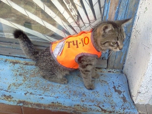 Евгений Новиков | 