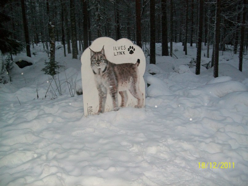 Алина Ескина *без подруги не как* | Костомукша