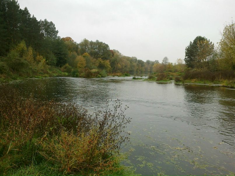 Игорь Морозов | Житомир