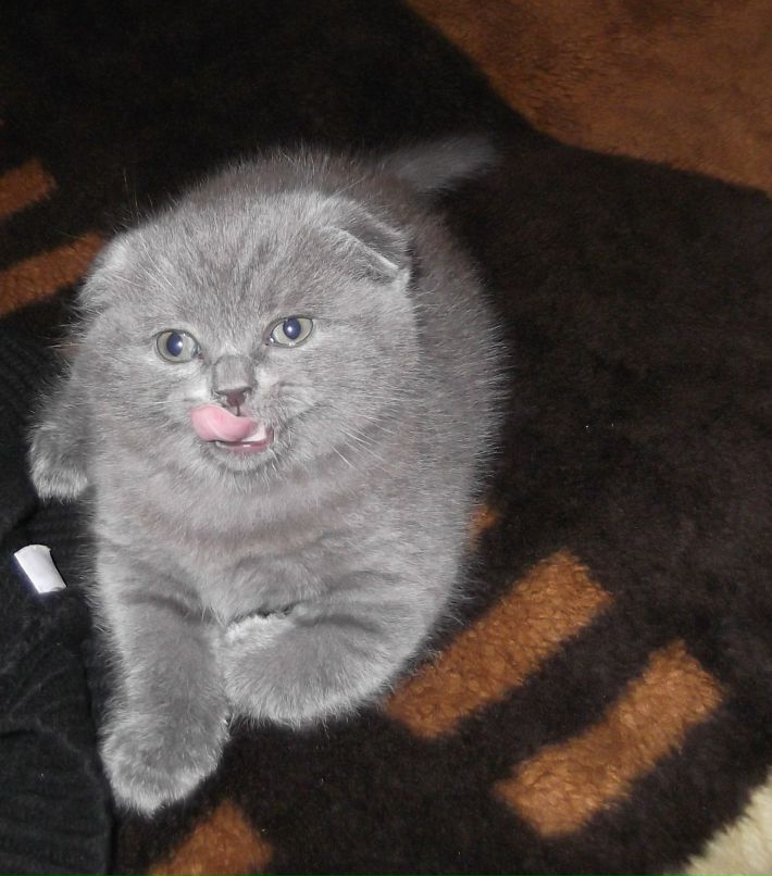 Марина Маликова | Москва