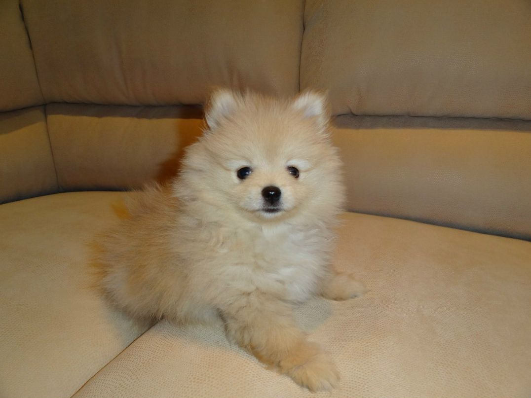 Инна Винниченко | Харьков