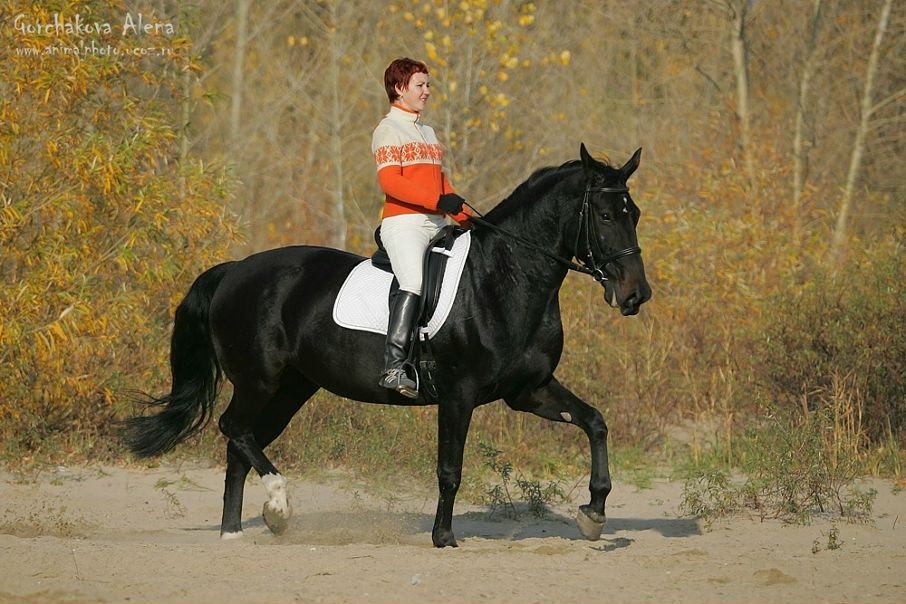 №1, Олеся Карячкина №1, Олеся Карячкина