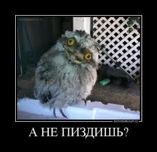 Женя Кесель | Одесса