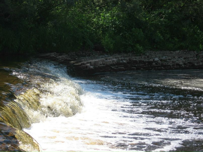 Алексей Антонов | Старая Русса