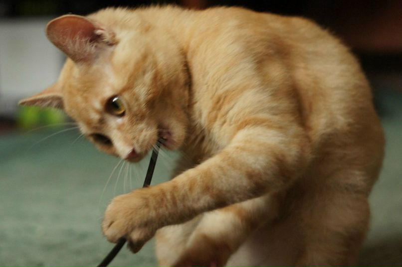 Александр Межерицкий Константинович | Харьков