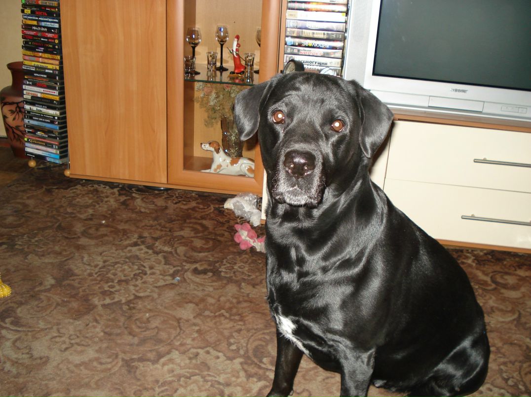 Елена Попова (Е.В.А.) | Санкт-Петербург