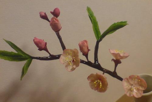 Римма Баблоян Fate | Ростов-на-Дону