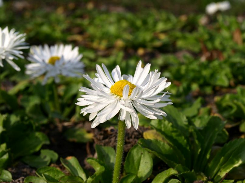 Евгений Мыцык | Киев