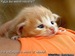 Анастасия Мельцова фотография #8