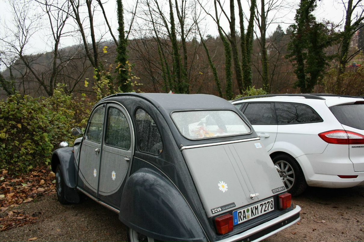 Наташа Малеева | Москва