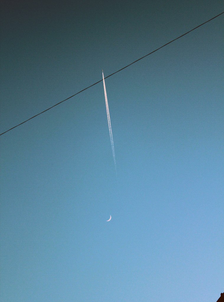 Ольга Н | Санкт-Петербург