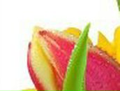 Борис Мешков | Днепр (Днепропетровск)