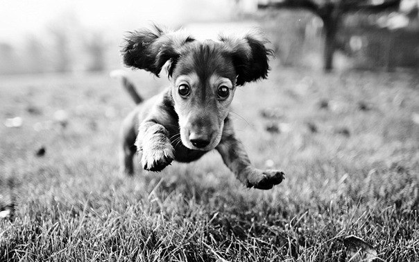 Надюшка Гарбузова | Нижний Новгород