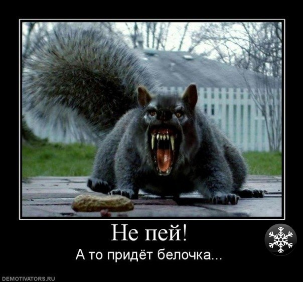 Антон Буевич | Витебск