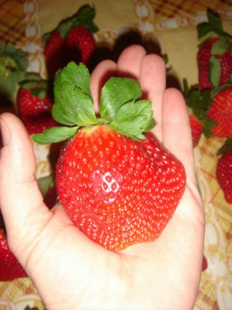 №67, Natalia Очагова, Москва №67, Natalia Очагова, Москва