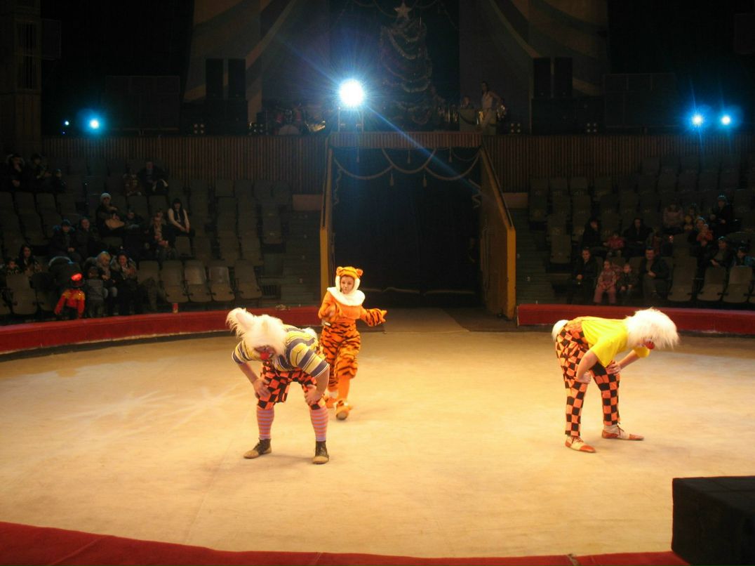 Венеция Пупкина МаСя | San Francisco