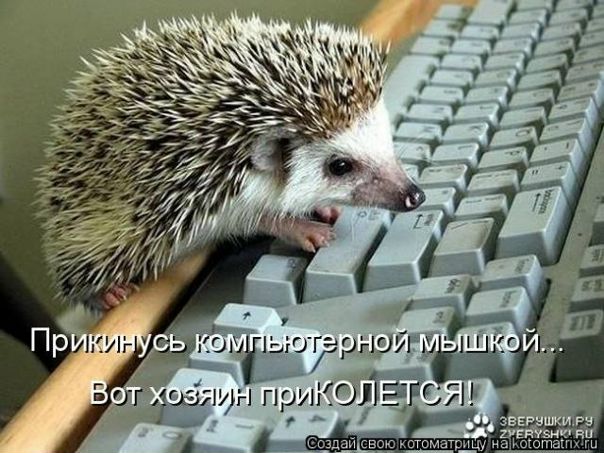 №9, Влад Ковальчук, 29 лет №9, Влад Ковальчук, 29 лет