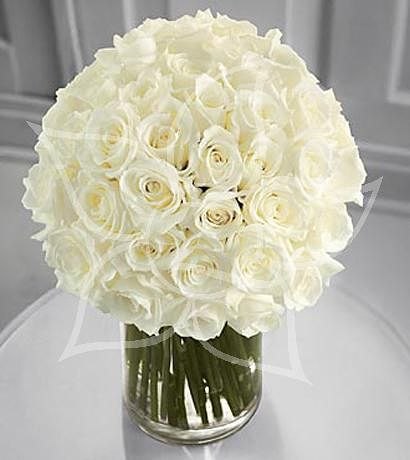 Юлия Андреева-Старцева | Стерлитамак