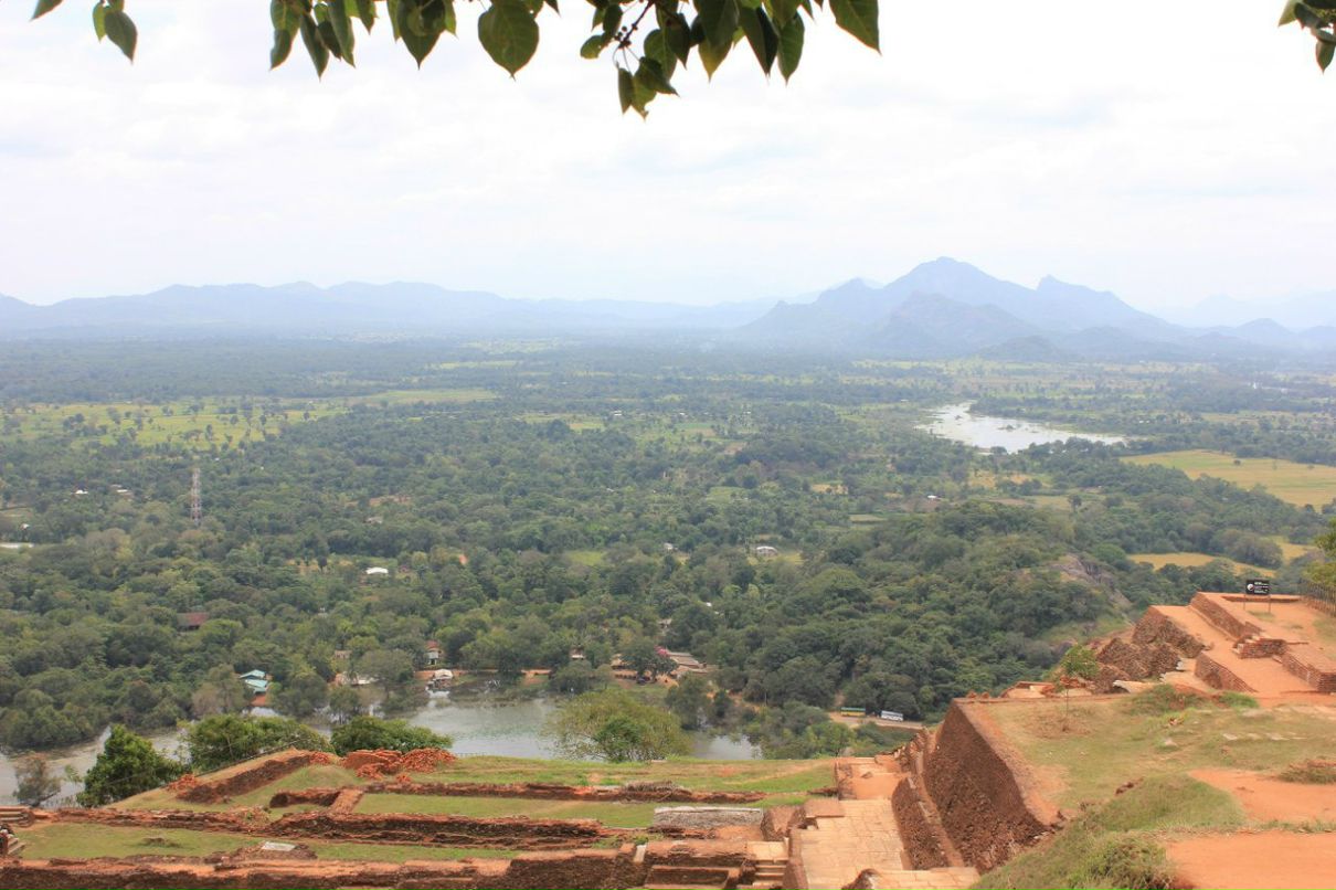 Анна Трофимовская | Пушкино