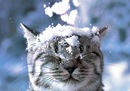 №18 Александр Столяров 10.12.1990: профиль, фото, статус - ВКонтакте