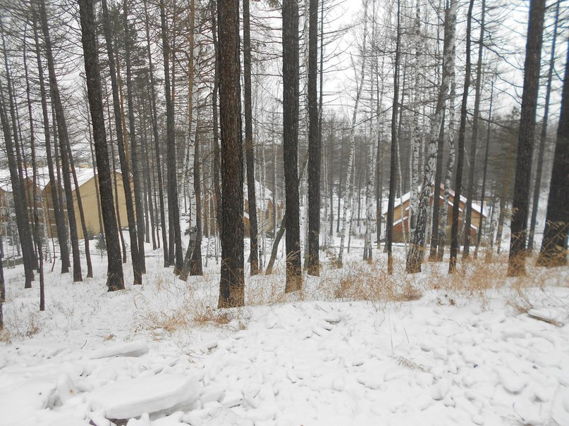 Рома Ильясов | Челябинск