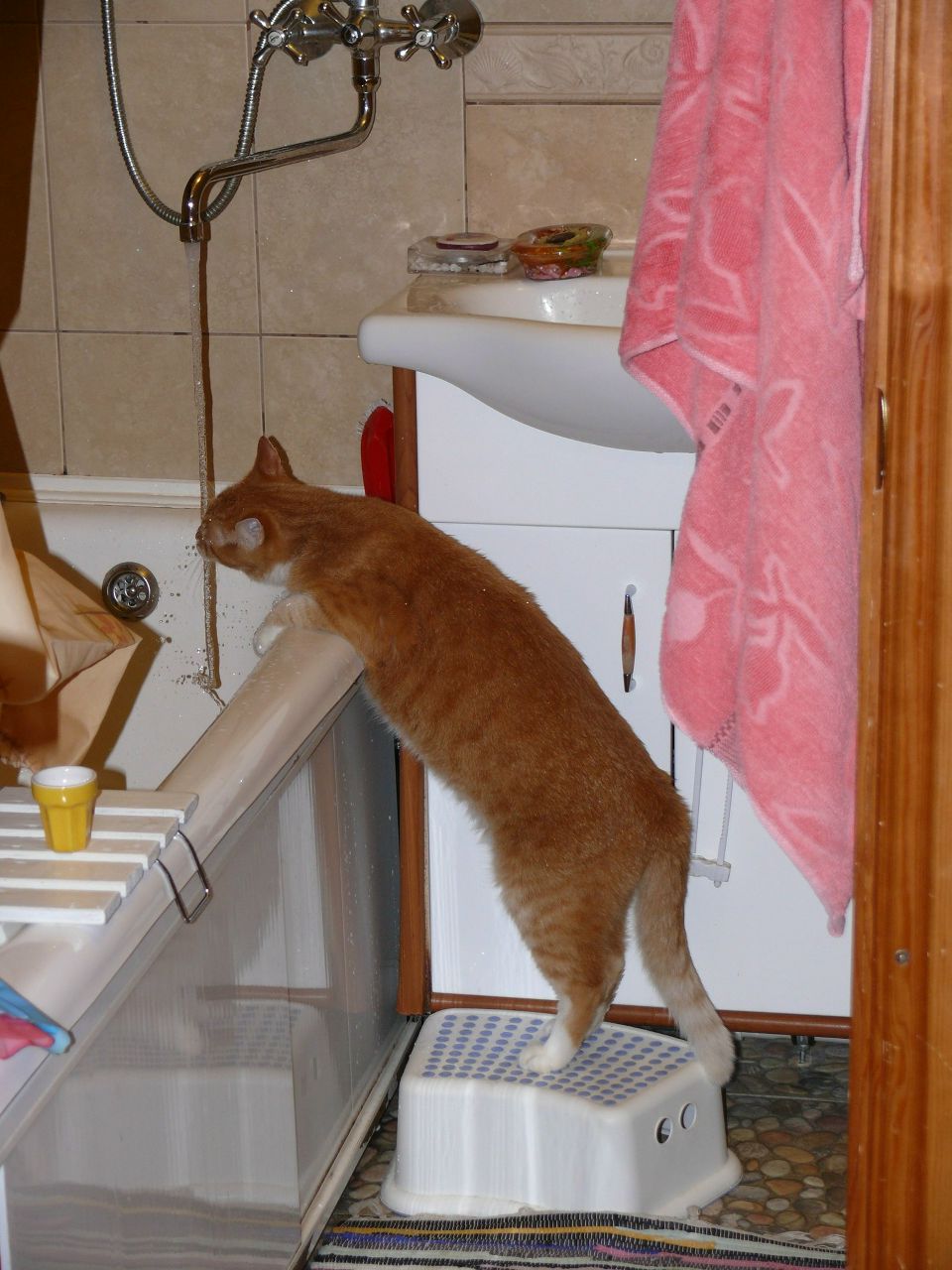 Денис Смирнов | Санкт-Петербург