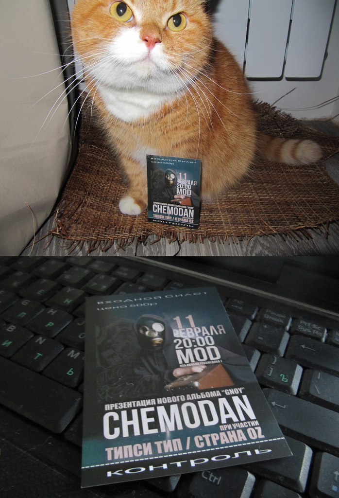 Денис Назарский | Санкт-Петербург