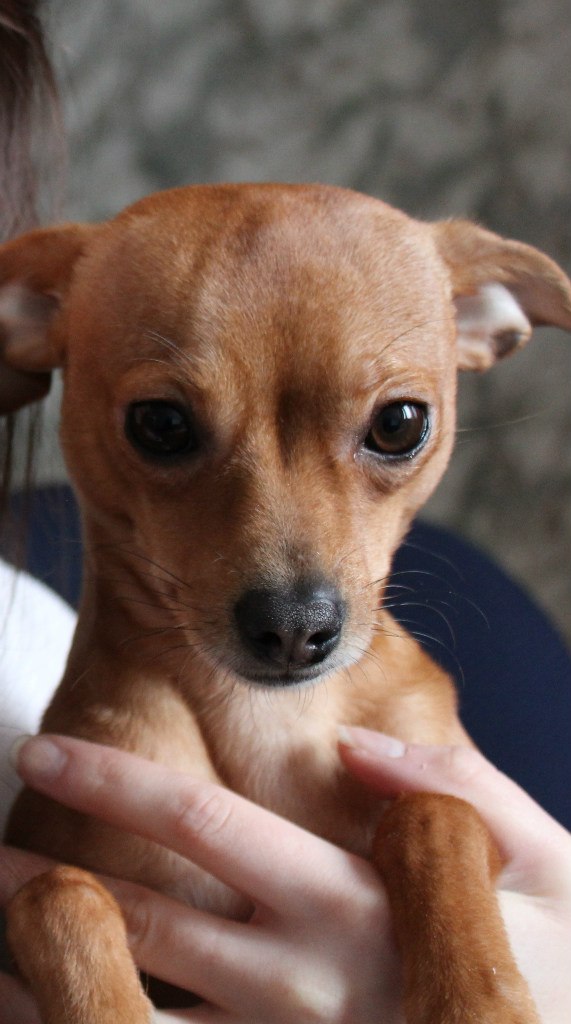 Татьяна Павлова | Санкт-Петербург