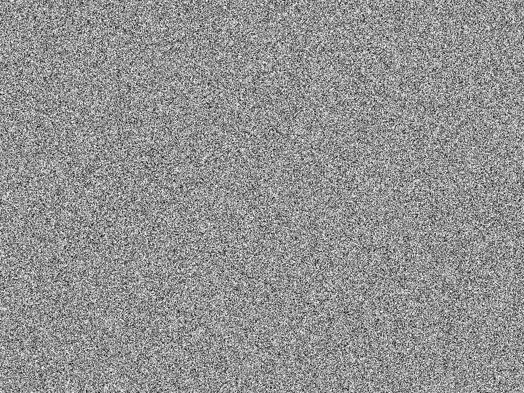 Андрей Лебедев | Санкт-Петербург