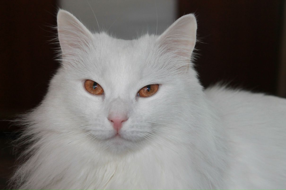 Валерий Матковский ☢ | Санкт-Петербург