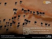 №13 Екатерина Триш 22.03: профиль, фото, статус - ВКонтакте