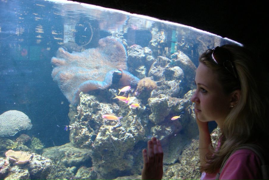 №125, Алена Косенко, 23.4.1985, Великий Новгород №125, Алена Косенко, 23.4.1985, Великий Новгород