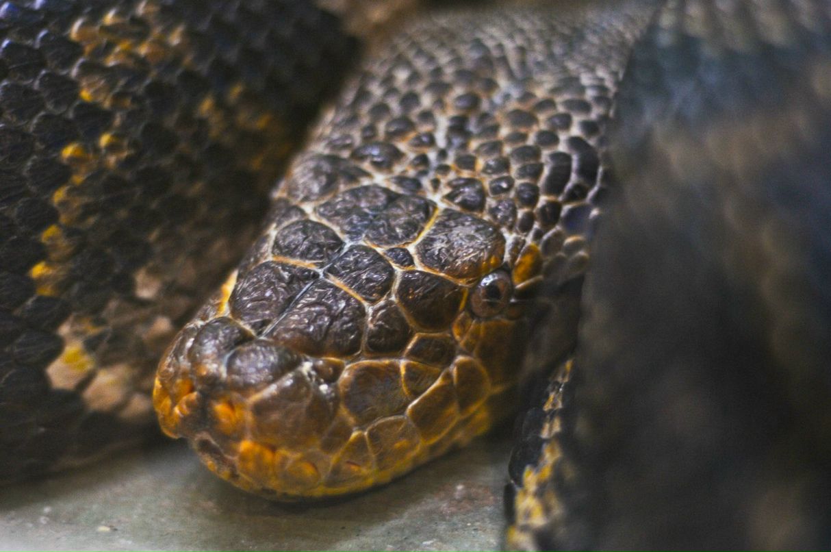 Мария Янцен | Екатеринбург