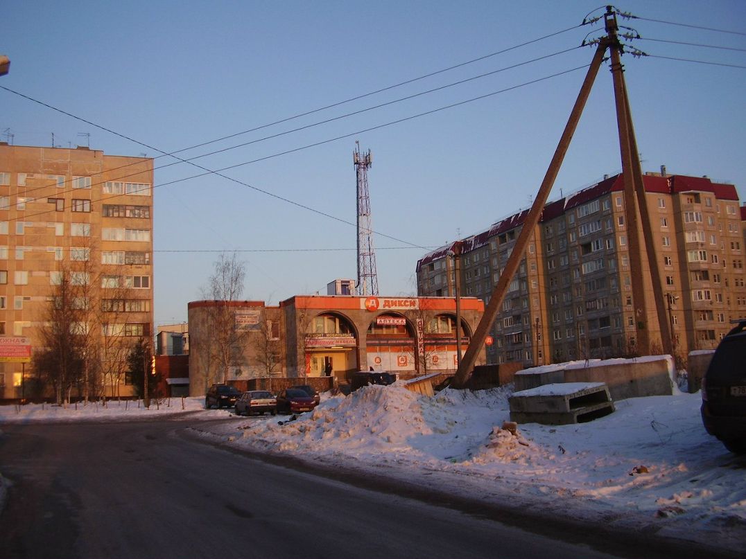 Янина Морозова | Мурманск