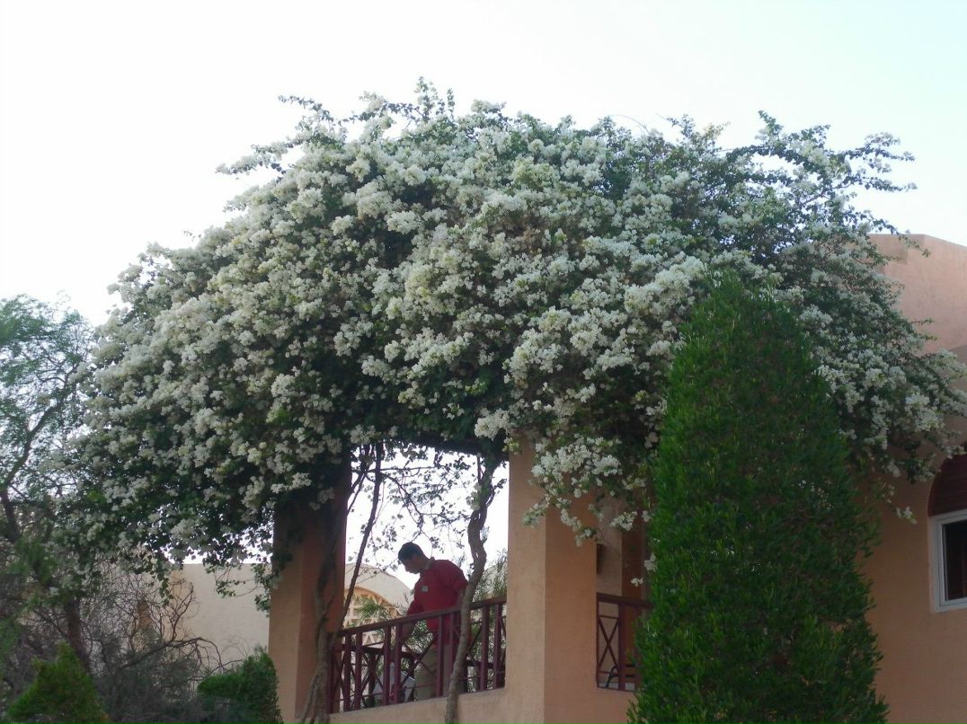 Юля Андреева | Кимры