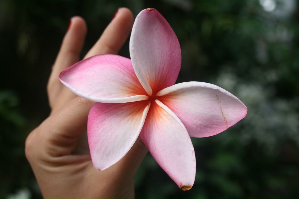 Mila Ruzhilo | Москва