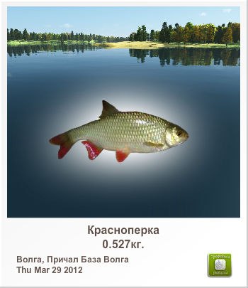 Алексей Иванов | Санкт-Петербург