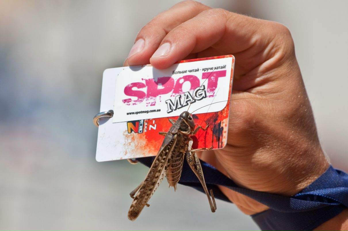 Александр Барило ^Barik^ | Киев